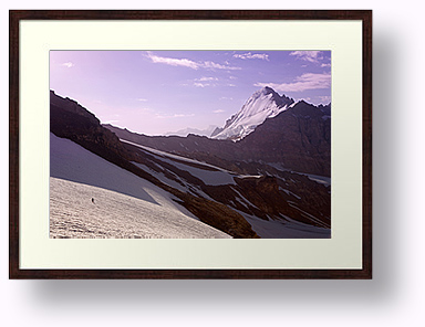 Muesum quality Framed Fine Art Print