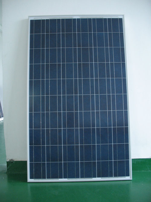 Poly Solar Panel 220W