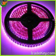 240LEDs/m 3528 flexible LED strip