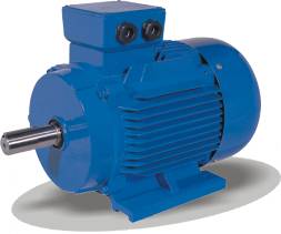 Y2 series  series motors