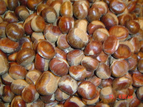 Fresh Chestnut