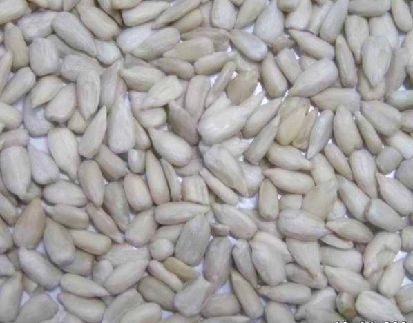 Sunflower kernels