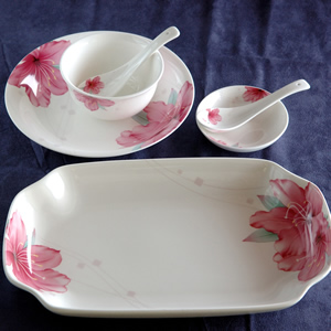 Ceramic dinnerware 01030026