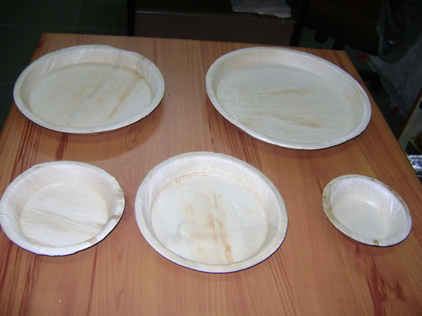 Areca leaf plates