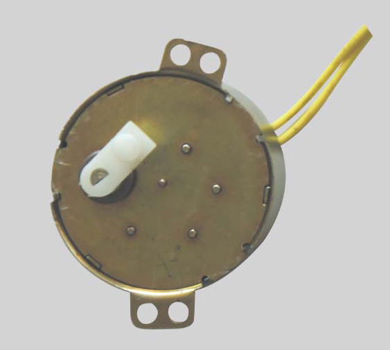 synchronous motor