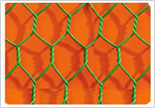 Hexgonal Wire Mesh