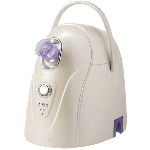 Ionic Facial Steamer