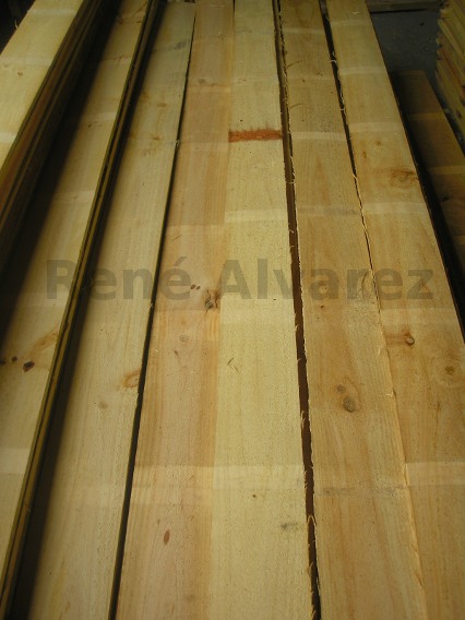 Radiata Pine Lumber