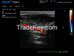 COLOR DOPPLER ULTRASOUND SYSTEM