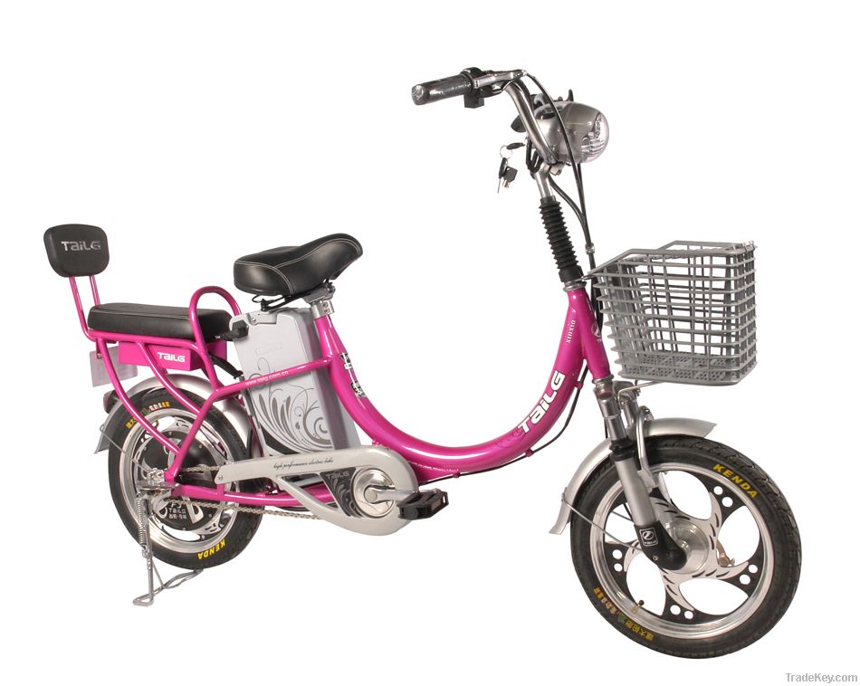 electric bike TDR226Z EN15194