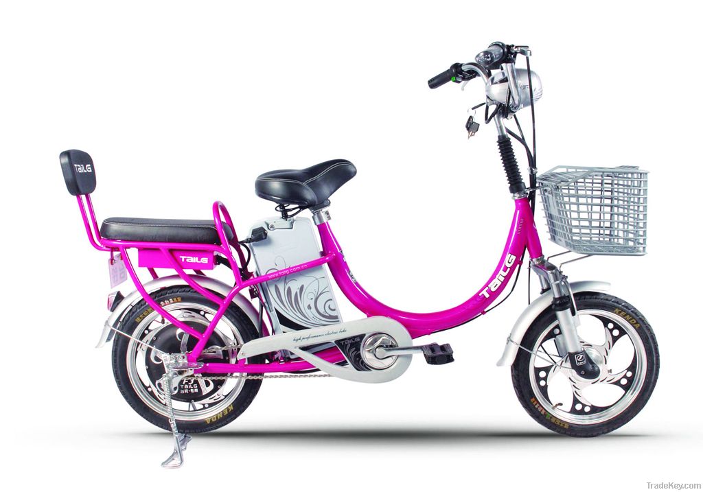 electric bike TDR226Z EN15194