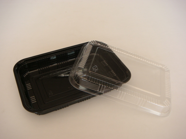 disposable plastic container