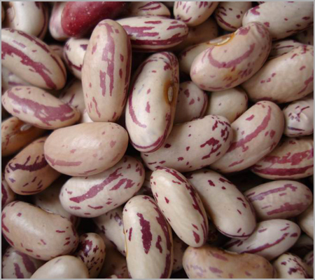 Light speckled kidney bean