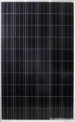 156 series polycrystalline solar module