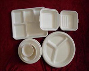 Disposable Tableware