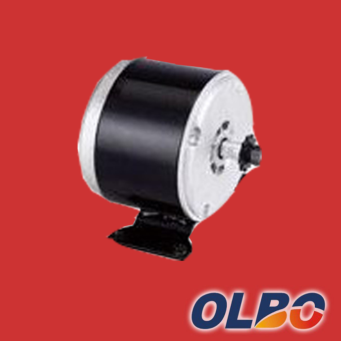 Permanent Magnet DC Motor