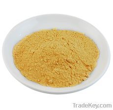 Papaya fruit powder