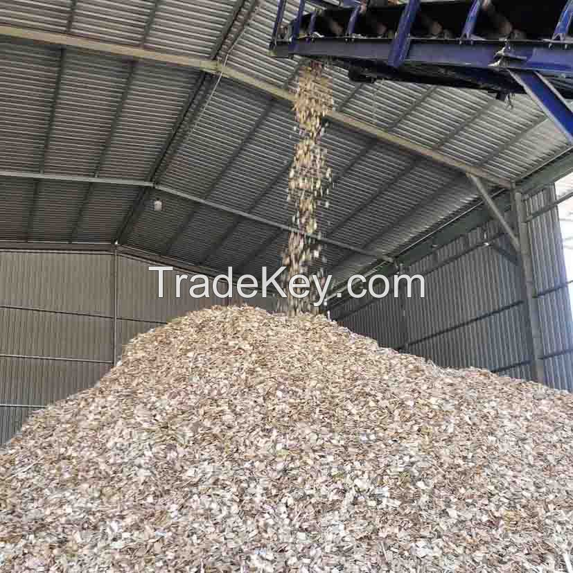 Acacia, Eucalyptus woodchip for pulp