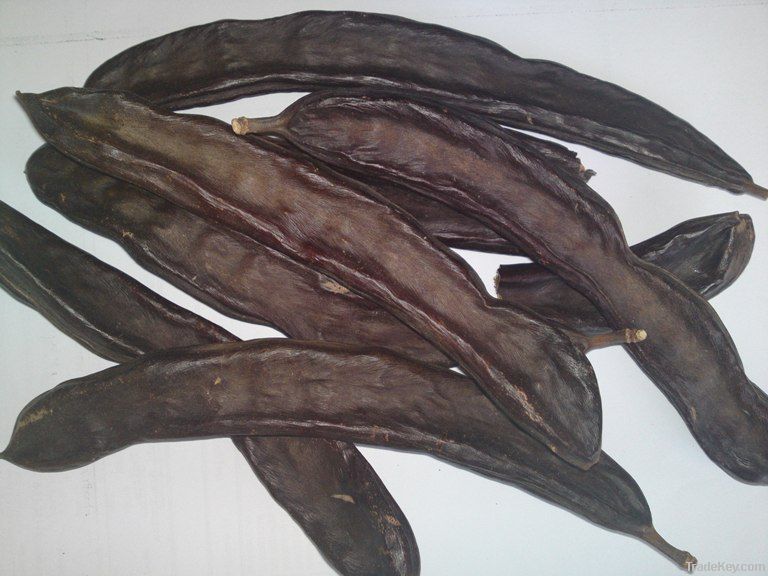 CAROB 100 % NATURAL