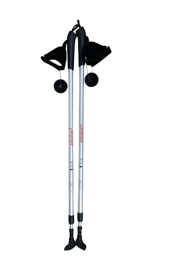 nordic walking pole