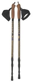 nordic walking sticks