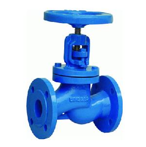 DIN Globe Valve