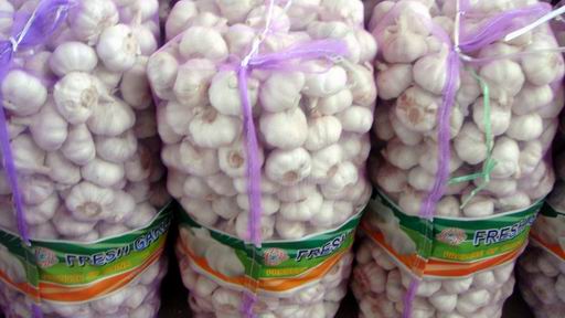 NORMAL WHITE GARLIC