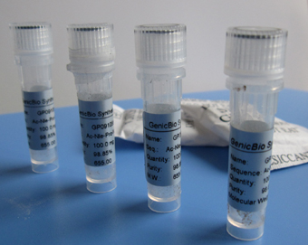 Custom Peptide Synthesis