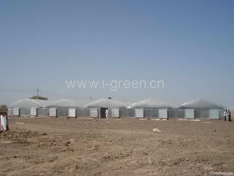 Multi Span Greenhouse