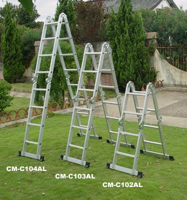 MULTI-PURPOSE LADDER