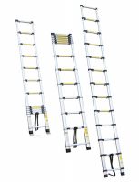 Telescopic Ladder