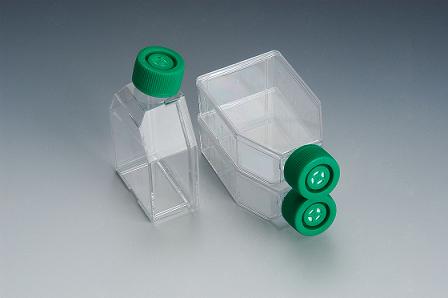 SPL Tissue Culture flasks