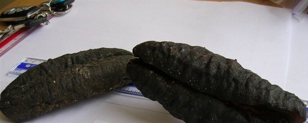 Sea Cucumbers