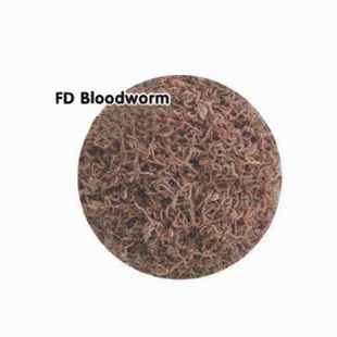 Bloodworms