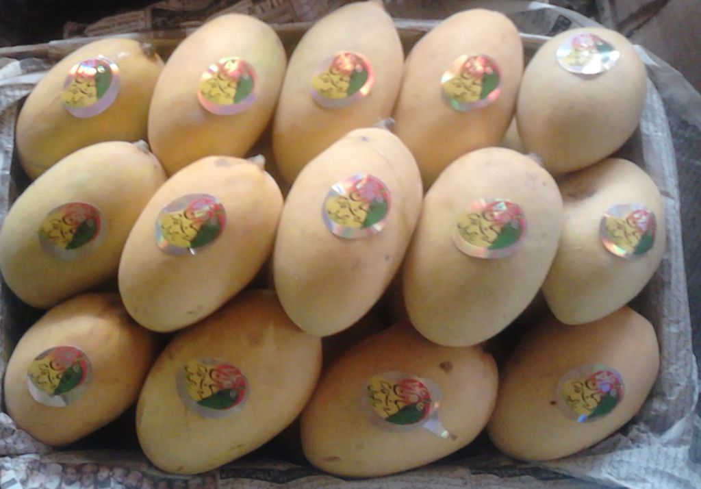 Sell fresh mango