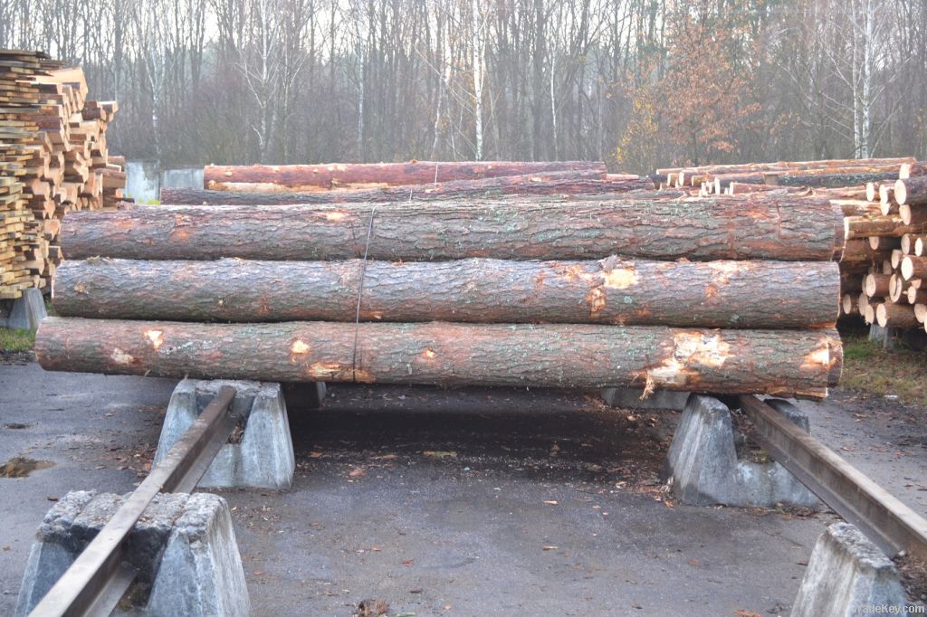 Pine logs