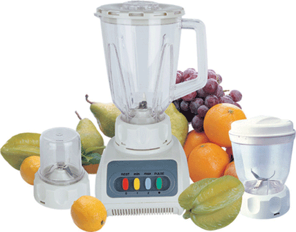 Blender, grinder DL-999