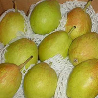 Kurle fragrant pear