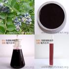 blueberry extract