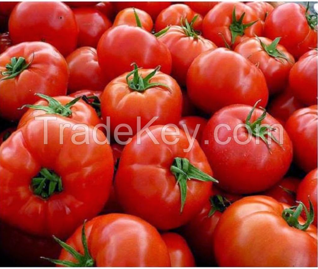 ketchup filling line/tomato paste production line in small investment