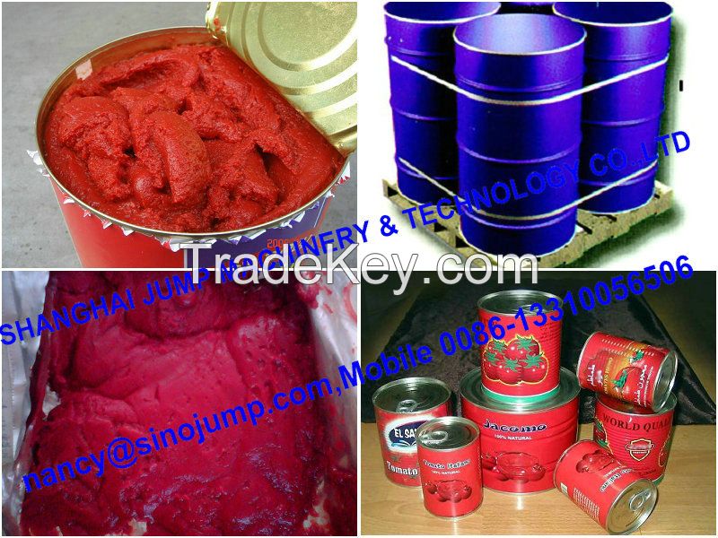 Xinjiang Aseptic Package Tomato Paste Concentrate Brix 28-30% Hot Break