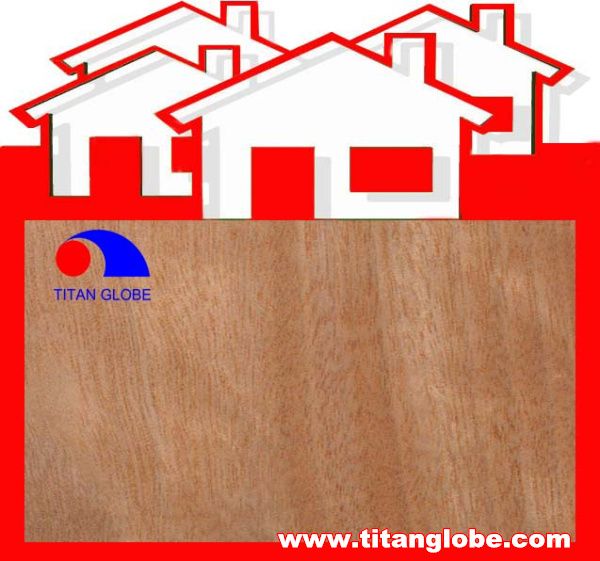 Natural Wood Rotary Cut Hardwood Face Veneer / MLH Face Veneer - Titan Globe