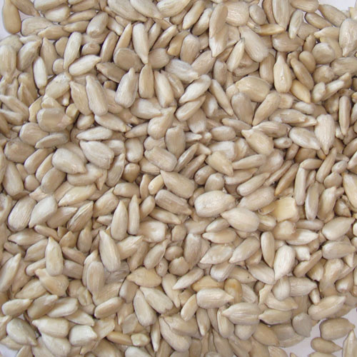 sunflower kernels