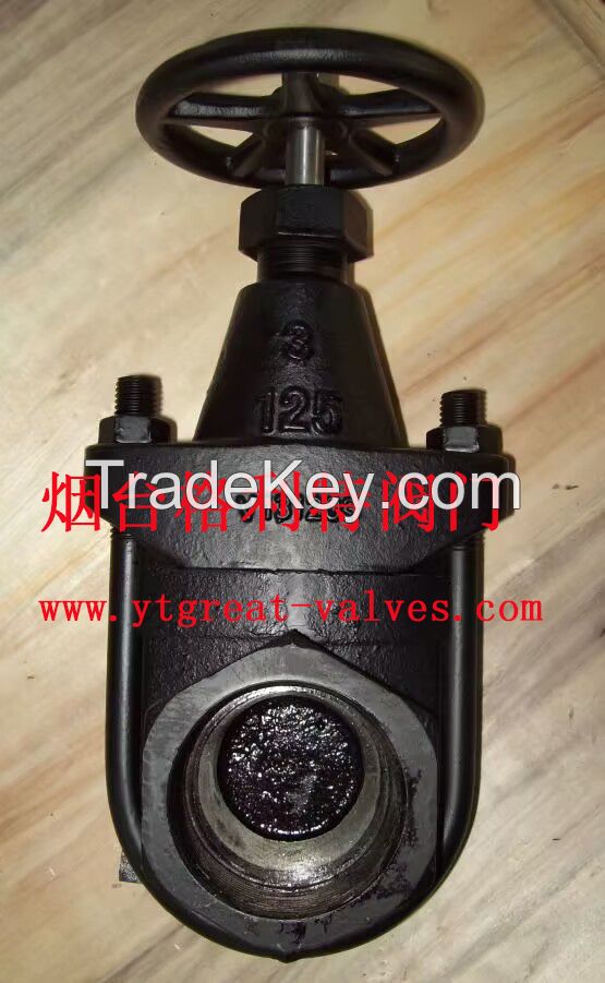 clip gate valve 