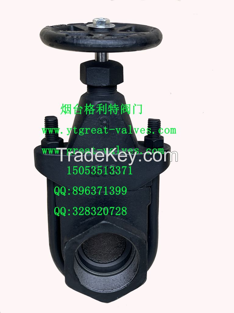 clip gate valve 