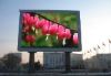 Outdoor LED Screen (P25)-LED Screen