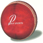 cricket ball