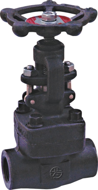 Forged Gate Valve