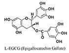 green tea extract EGCG