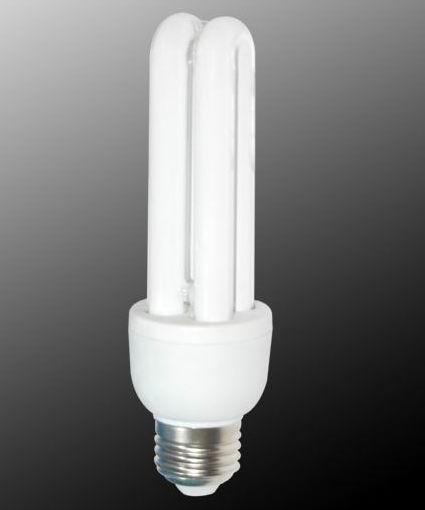 Energy saving lamp 2U